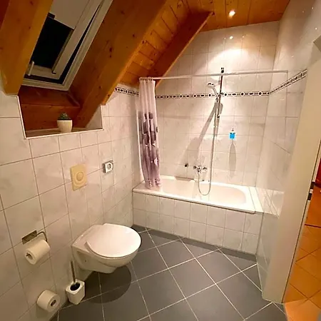 Zur Muehle 3* مونستر